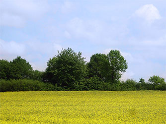 Einige Impressionen aus Kühsen und seiner direkten Umgebung