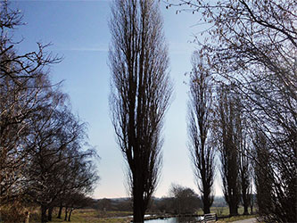 Einige Impressionen aus Kühsen und seiner direkten Umgebung