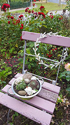 Impressionen aus dem Garten der Rosenschmiede