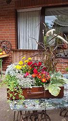 Impressionen aus dem Garten der Rosenschmiede