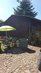 Impressionen aus dem Garten der Rosenschmiede