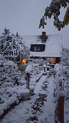 Impressionen aus dem Garten der Rosenschmiede