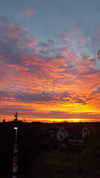 Impressionen aus dem Garten der Rosenschmiede
