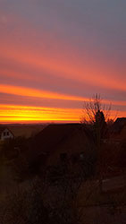Impressionen aus dem Garten der Rosenschmiede