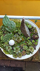 Impressionen aus dem Garten der Rosenschmiede