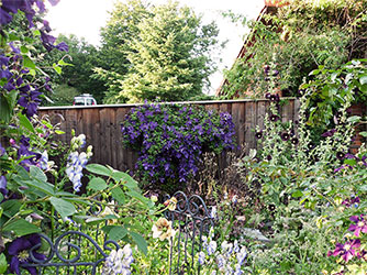 Der Garten der Rosenschmiede