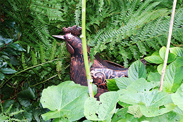 Hahn im Klee oder einfach ein bisschen Deko im Garten