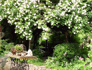 Der Garten der Rosenschmiede